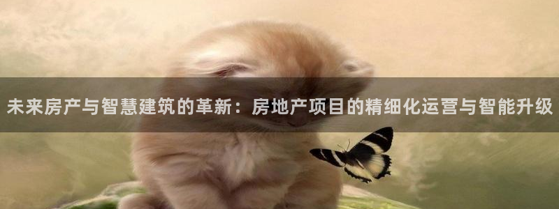 新宝5什么时候上市：未来房产与智慧建筑的革新：房地产项目的精