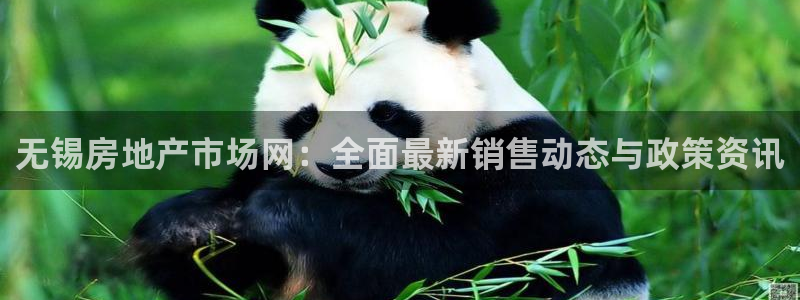 新宝5飞355051：无锡房地产市场网：全面最新销售动态与政