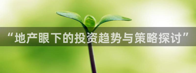 新宝3得74OO5：“地产眼下的投资趋势与策略探讨”