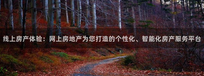 新宝5后：线上房产体验：网上房地产为您打造的个性化、智能化房