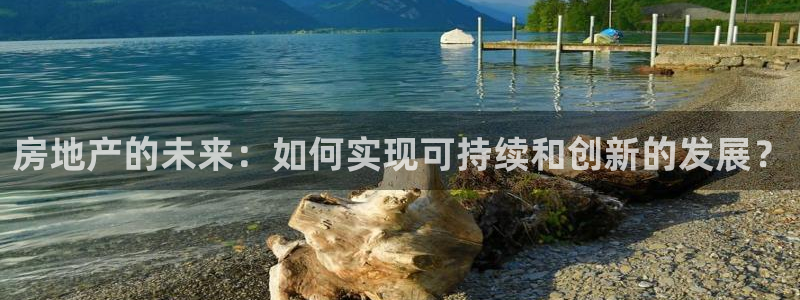 新宝5登陆：房地产的未来：如何实现可持续和创新的发展？