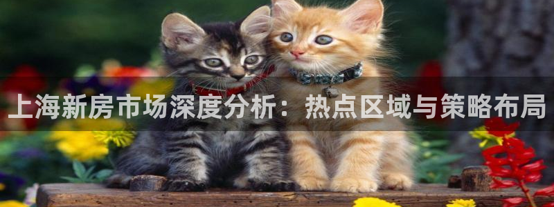 新宝5秒开：上海新房市场深度分析：热点区域与策略布局