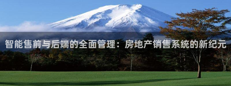 新宝5 - 测速登陆：智能售前与后端的全面管理：房地产销售系