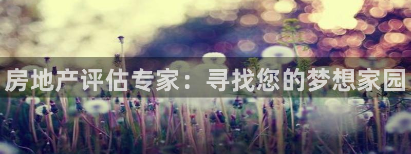 新宝5测速下载：房地产评估专家：寻找您的梦想家园