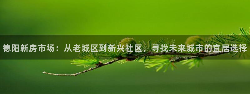 新宝5娱乐登录：德阳新房市场：从老城区到新兴社区，寻找未来城