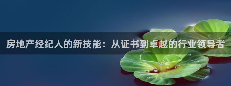 新宝5球维33 300：房地产经纪人的新技能：从证书到卓越的