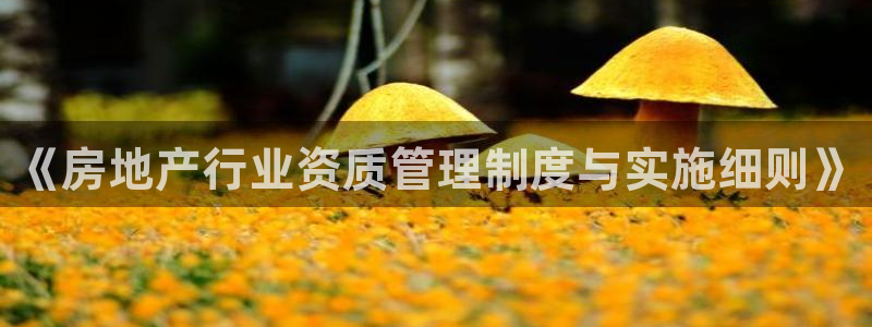 新宝5注册：《房地产行业资质管理制度与实施细则》