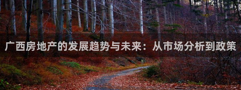 新宝5现在还能玩吗：广西房地产的发展趋势与未来：从市场分析到