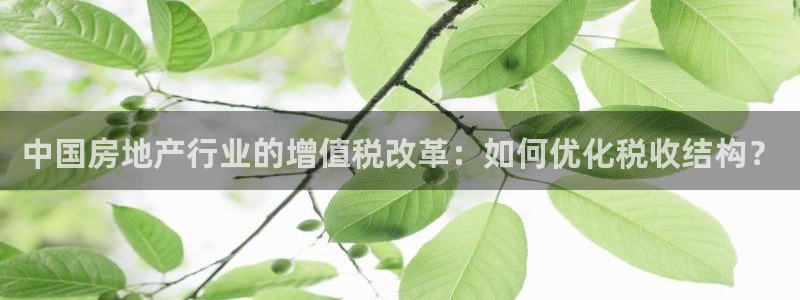 新宝5褚74OOO5：中国房地产行业的增值税改革：如何优化税