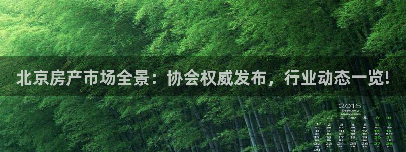 新宝5娱乐平台：北京房产市场全景：协会权威发布，行业动态一览