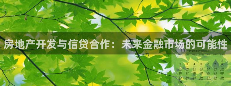 新宝5上70 667：房地产开发与信贷合作：未来金融市场的可