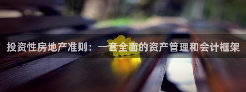 新宝5娱乐学：投资性房地产准则：一套全面的资产管理和会计框架