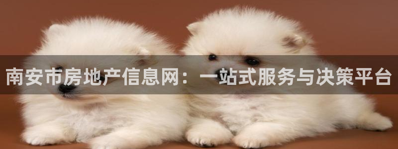 新5宝：南安市房地产信息网：一站式服务与决策平台