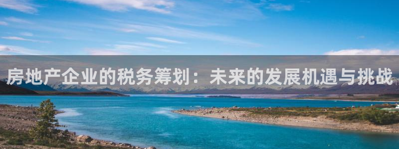 新宝5平台登陆：房地产企业的税务筹划：未来的发展机遇与挑战