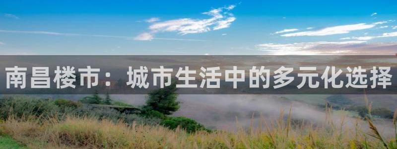 新宝新5：南昌楼市：城市生活中的多元化选择