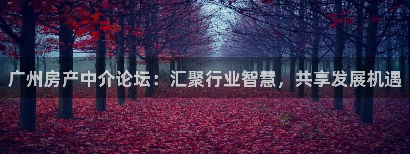 新宝5官方：广州房产中介论坛：汇聚行业智慧，共享发展机遇