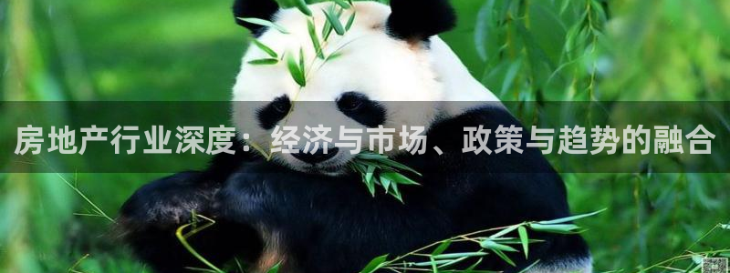 新宝5网：房地产行业深度：经济与市场、政策与趋势的融合
