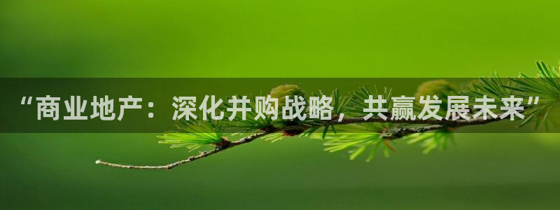 新宝堂新会陈皮5年