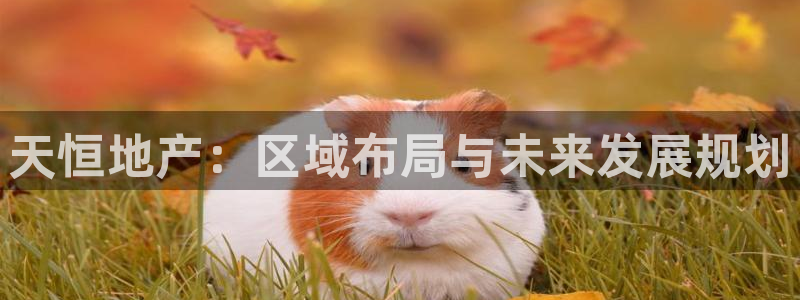 新宝5手机登陆：天恒地产：区域布局与未来发展规划