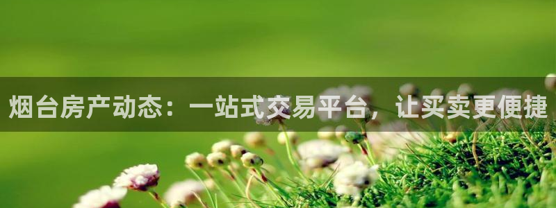 新宝5平台注册：烟台房产动态：一站式交易平台，让买卖更便捷