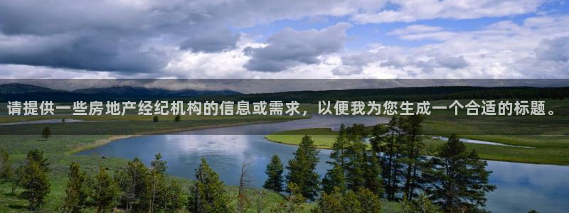新宝股东张听2 5 5：请提供一些房地产经纪机构的信息或需求