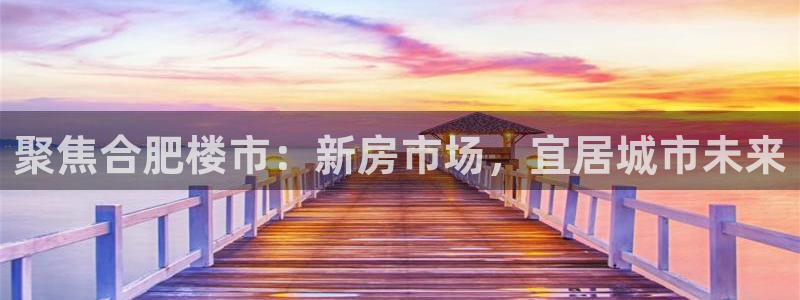 新宝 5测速：聚焦合肥楼市：新房市场，宜居城市未来