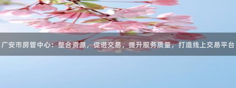 新宝5测速：广安市房管中心：整合资源，促进交易，提升服务质量