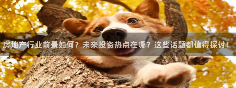 老新宝5授权登录：房地产行业前景如何？未来投资热点在哪？这些
