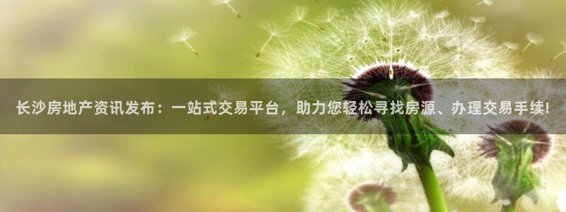 新宝5五：长沙房地产资讯发布：一站式交易平台，助力您轻松寻找