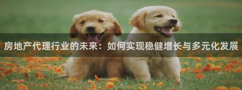 新宝5登录不了：房地产代理行业的未来：如何实现稳健增长与多元