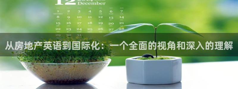 新宝5开户：从房地产英语到国际化：一个全面的视角和深入的理解
