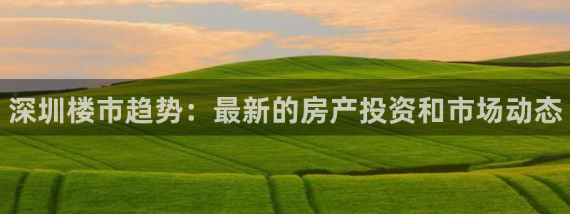 新宝6霸哥5：深圳楼市趋势：最新的房产投资和市场动态
