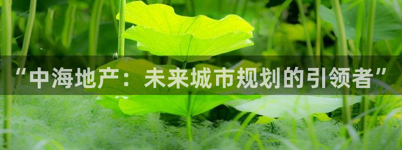 新宝5策略：“中海地产：未来城市规划的引领者”