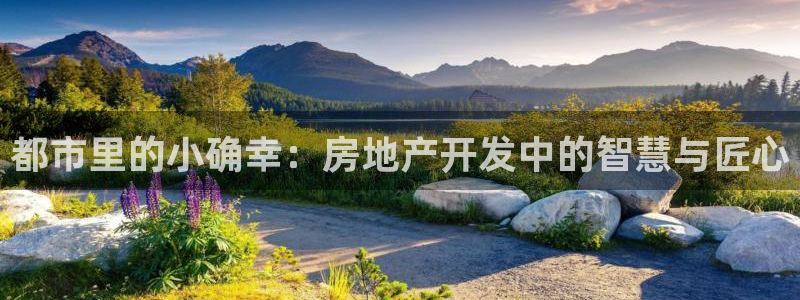新宝5平棋牌：都市里的小确幸：房地产开发中的智慧与匠心