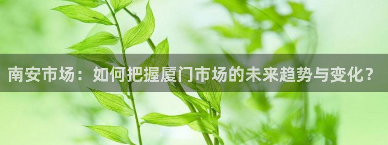 新5宝：南安市场：如何把握厦门市场的未来趋势与变化？