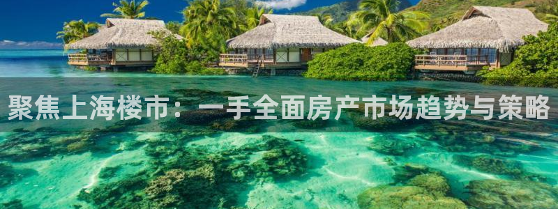 新宝xb5：聚焦上海楼市：一手全面房产市场趋势与策略