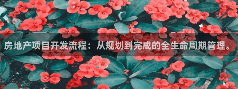 新宝5挂机：房地产项目开发流程：从规划到完成的全生命周期管理