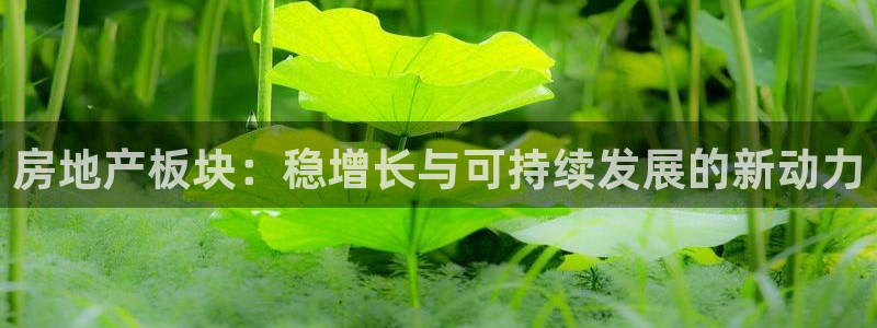 新宝m2O5O5O：房地产板块：稳增长与可持续发展的新动力