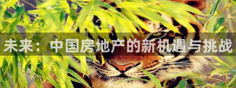 新宝b2O5O5O：未来：中国房地产的新机遇与挑战