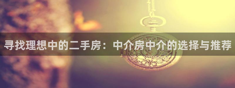 新宝j2O5O5O：寻找理想中的二手房：中介房中介的选择与推