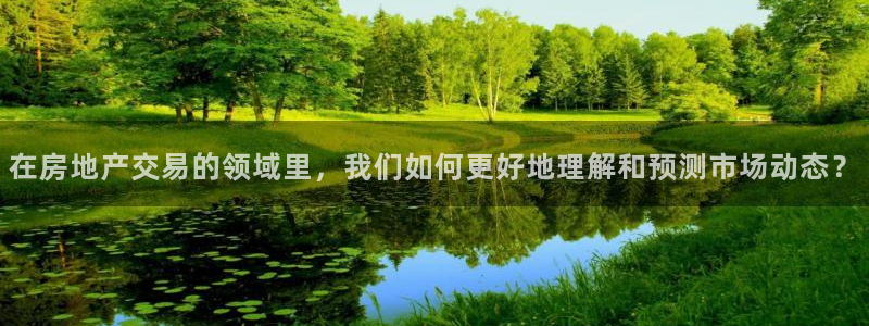新宝5是什么：在房地产交易的领域里，我们如何更好地理解和预测