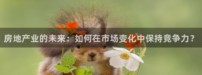 新宝5注册霸：房地产业的未来：如何在市场变化中保持竞争力？