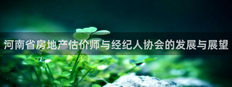 新宝5彩票是正规平台吗：河南省房地产估价师与经纪人协会的发展