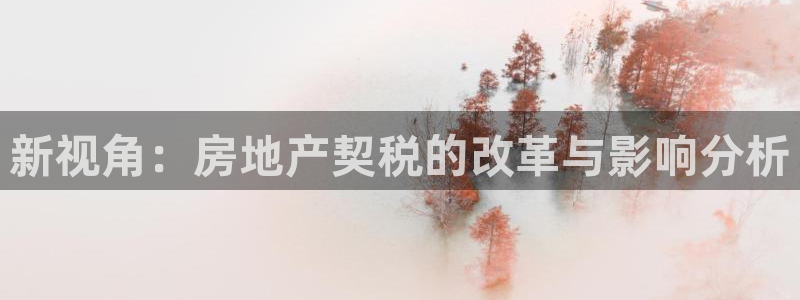 新宝5日740005蔻：新视角：房地产契税的改革与影响分析